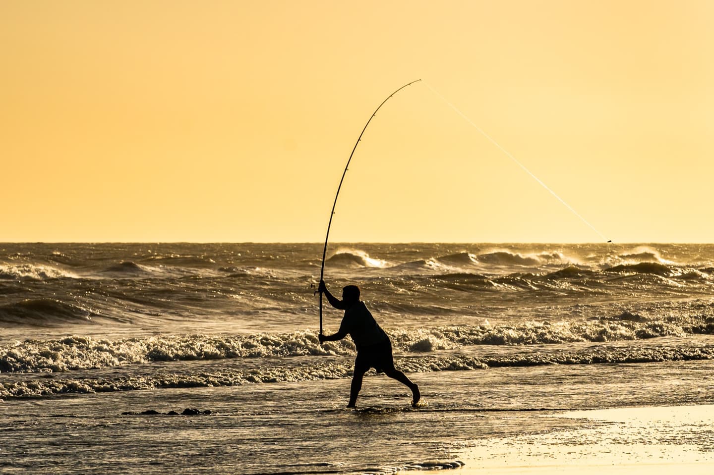 Pesca de fondo