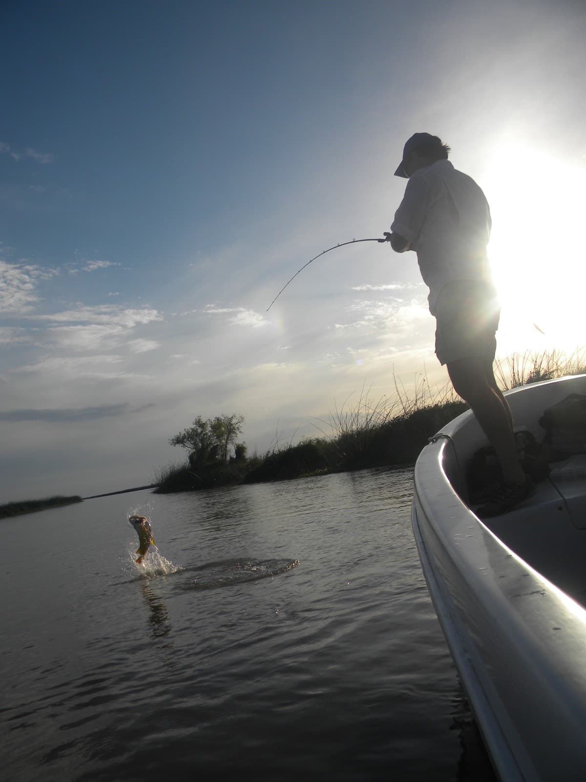 Pesca con jigging