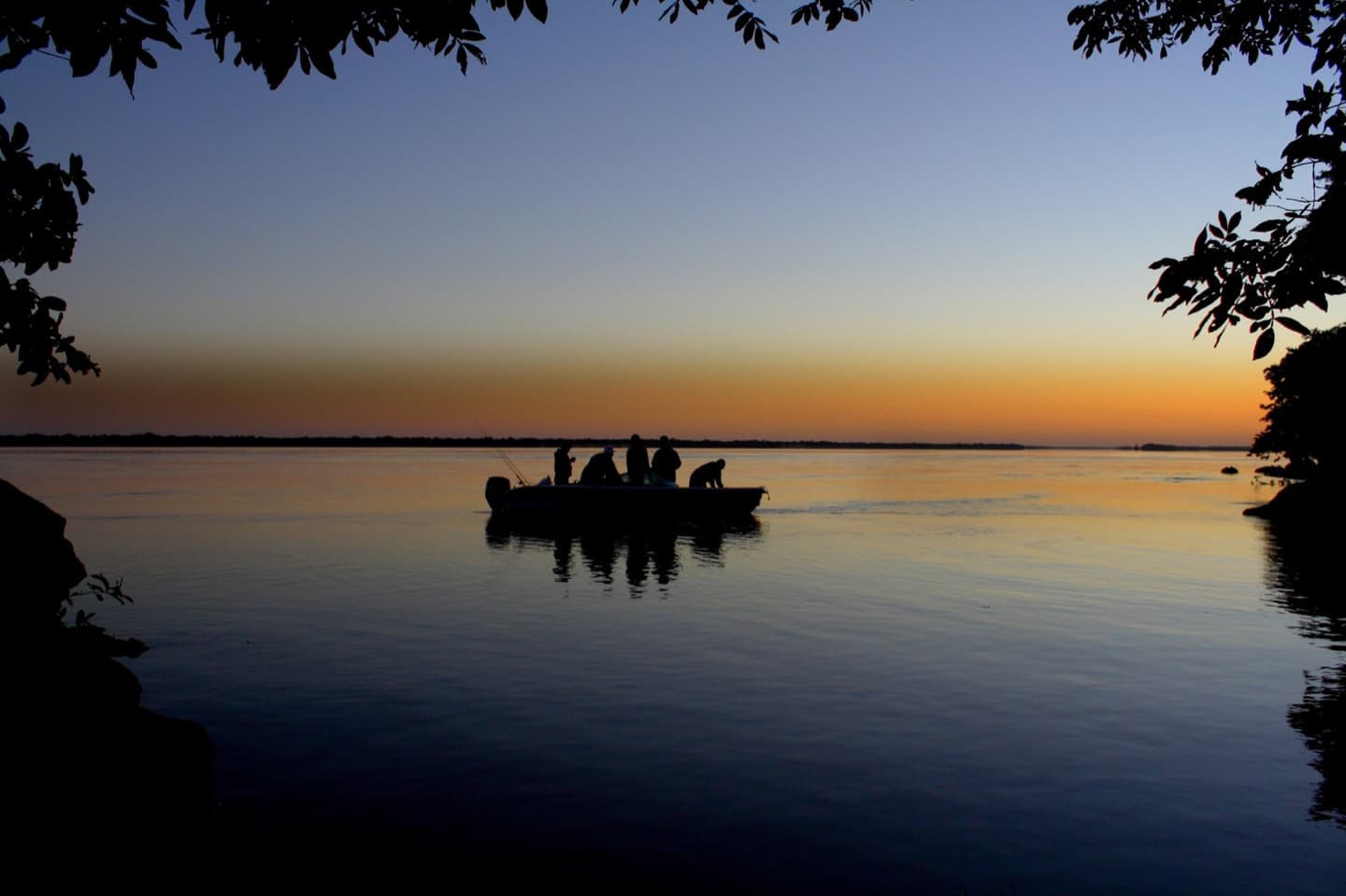 Pesca con cebo vivo