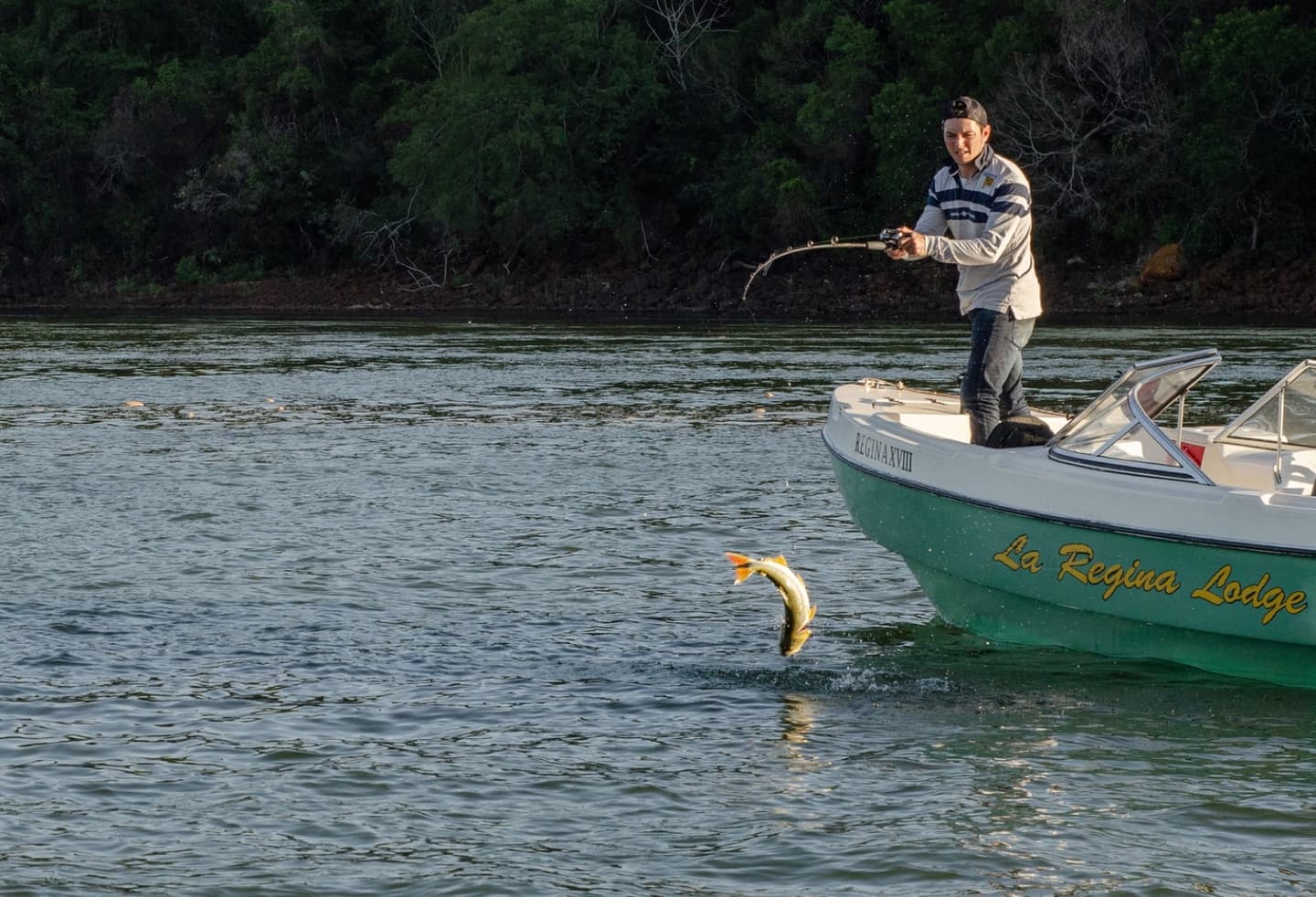 Pesca con spinning